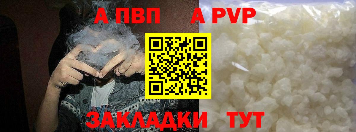 Новороссийск  Альфа ПВП СК  Вход с VPN  APVP СК КРИС 