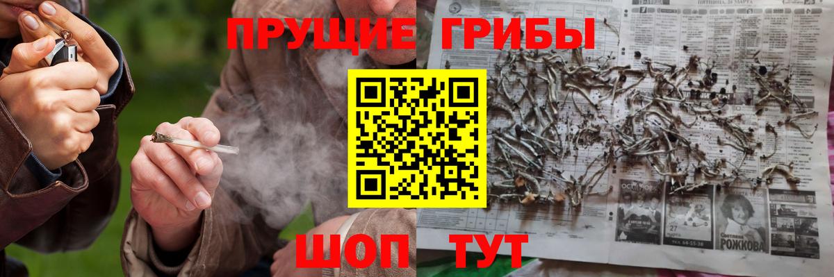 Новороссийск  Псилоцибиновые грибы MAGIC MUSHROOMS  Вход с VPN 