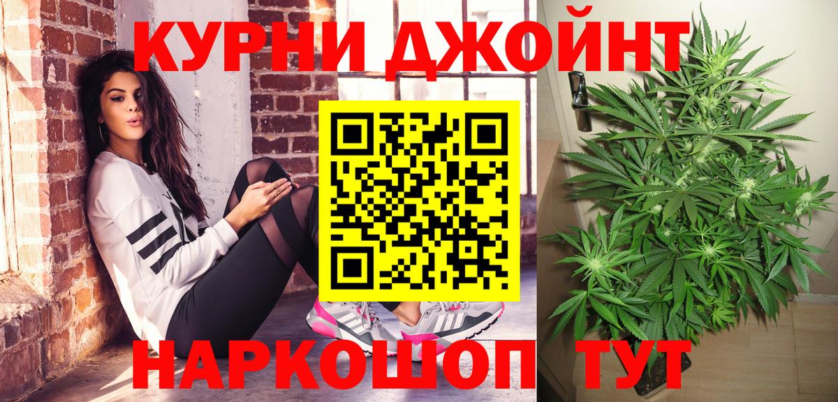 Марихуана конопля Новороссийск